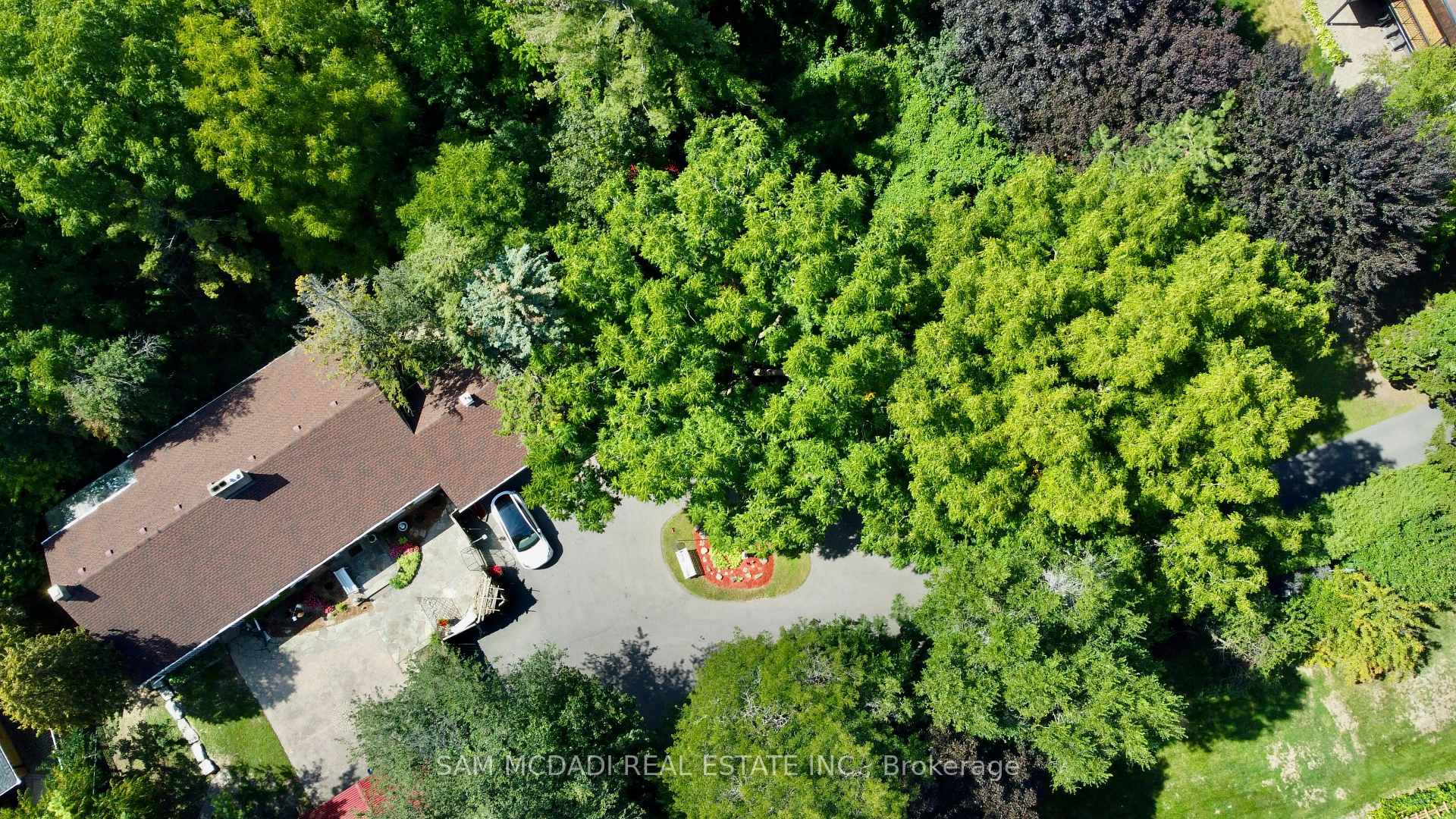 85 Yorkleigh Avenue, Toronto, ON M9P 1Y3